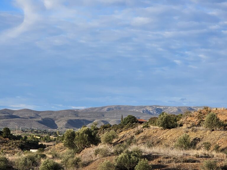 Jak dobrze mieć sąsiada