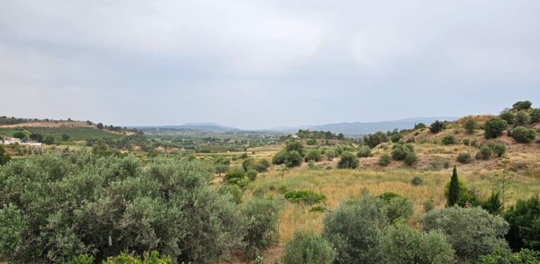 Za co może nie lubić nas Juan