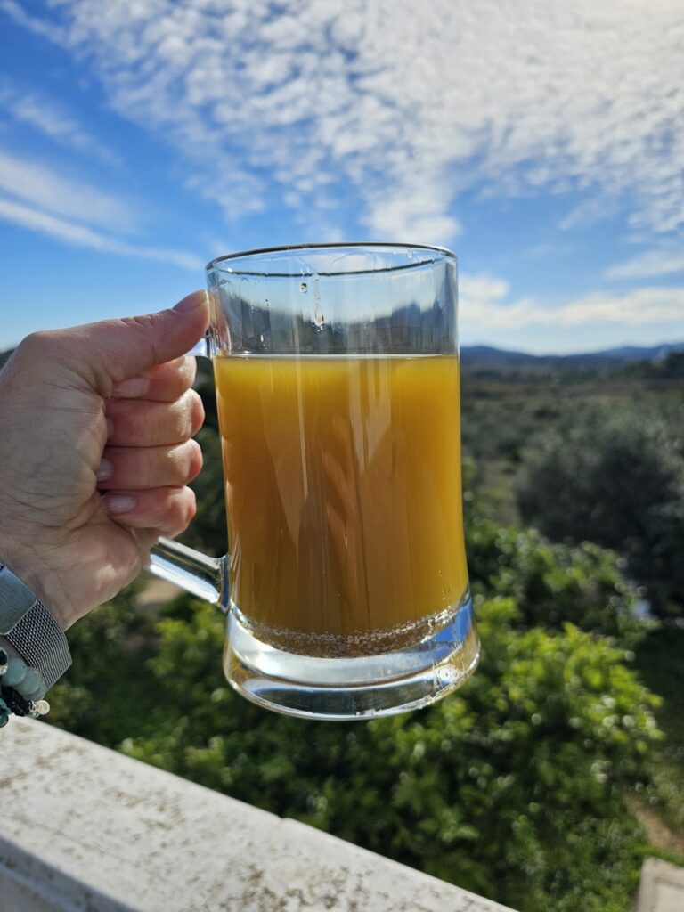 Nasza pierwsza oliwa z oliwek